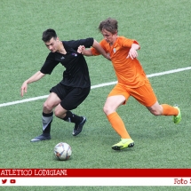 IMG_7570 IMG_7570
