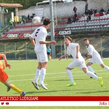 IMG_7574 IMG_7574