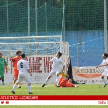 IMG_7583 IMG_7583