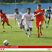 IMG_7585 IMG_7585