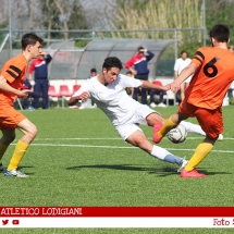 IMG_7599 IMG_7599