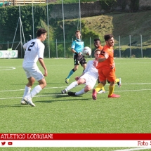 IMG_7603 IMG_7603