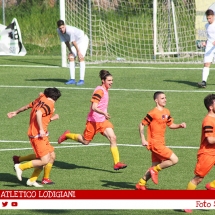 IMG_7617 IMG_7617