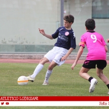 IMG_7728 IMG_7728