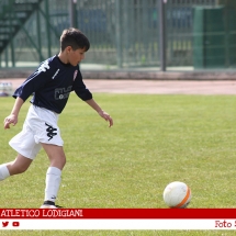 IMG_7748 IMG_7748