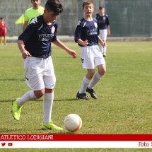 IMG_7764 IMG_7764
