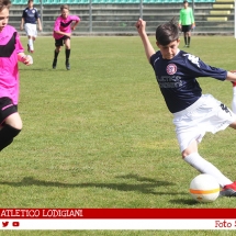IMG_7767 IMG_7767