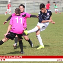 IMG_7768 IMG_7768