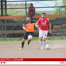 IMG_7960 IMG_7960