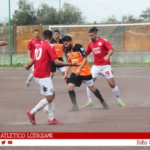 IMG_7966 IMG_7966