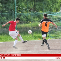 IMG_7969 IMG_7969