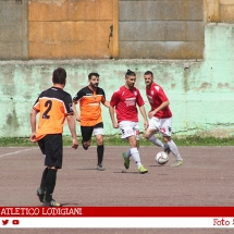 IMG_7976 IMG_7976