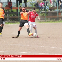 IMG_7998 IMG_7998