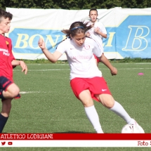 IMG_7590 IMG_7590