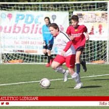 IMG_7592 IMG_7592
