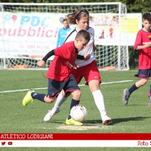 IMG_7594 IMG_7594