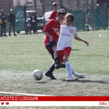 IMG_7599 IMG_7599