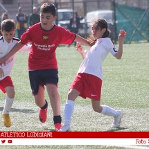 IMG_7600 IMG_7600