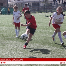 IMG_7604 IMG_7604