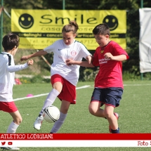 IMG_7607 IMG_7607