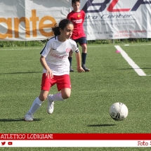IMG_7608 IMG_7608