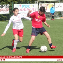 IMG_7613 IMG_7613