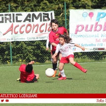 IMG_7615 IMG_7615
