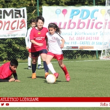 IMG_7616 IMG_7616