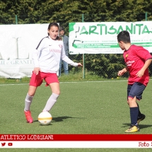 IMG_7617 IMG_7617