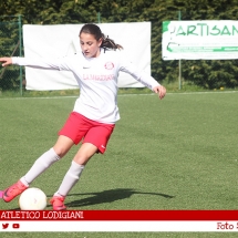 IMG_7619 IMG_7619