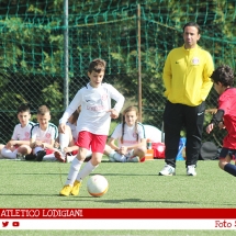 IMG_7622 IMG_7622