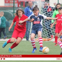 IMG_7791 IMG_7791