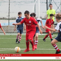 IMG_7794 IMG_7794