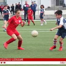 IMG_7804 IMG_7804