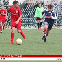 IMG_7808 IMG_7808