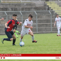 IMG_7895 IMG_7895