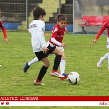 IMG_8740 IMG_8740