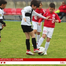 IMG_8741 IMG_8741