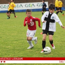 IMG_8743 IMG_8743