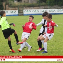 IMG_8744 IMG_8744