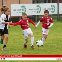 IMG_8746 IMG_8746