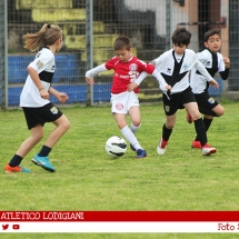 IMG_8751 IMG_8751