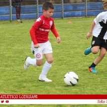 IMG_8755 IMG_8755