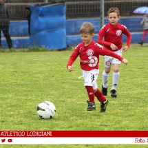 IMG_8761 IMG_8761
