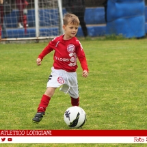 IMG_8762 IMG_8762