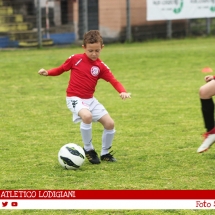 IMG_8763 IMG_8763