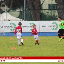IMG_8765 IMG_8765