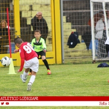 IMG_8766 IMG_8766