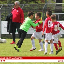 IMG_8768 IMG_8768