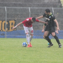 IMG_8890 IMG_8890
